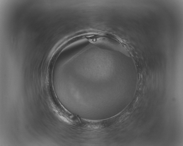 X0000080660247200612221058
