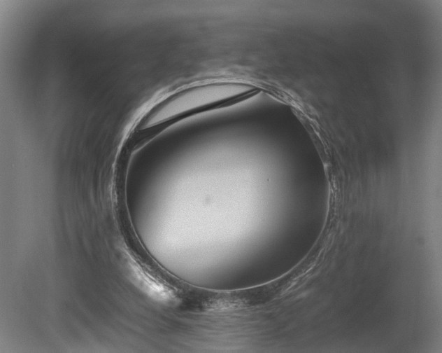 X0000080660248200612221058