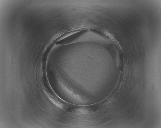 X0000080660250200612221058