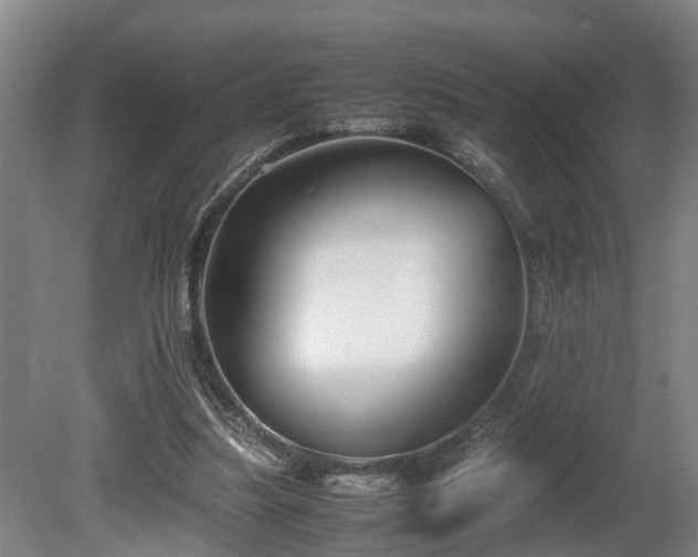 X0000080660251200612221058