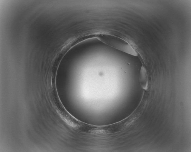 X0000080660253200612221058