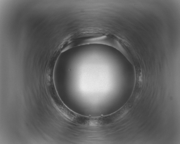X0000080660264200612221058