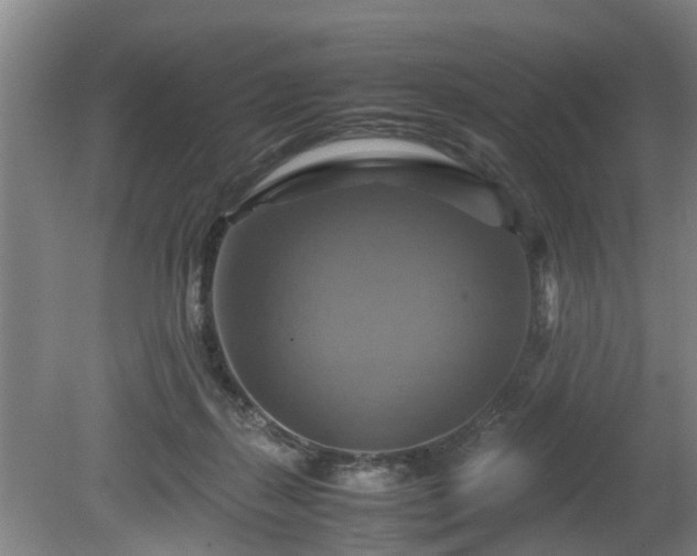 X0000080660267200612221058