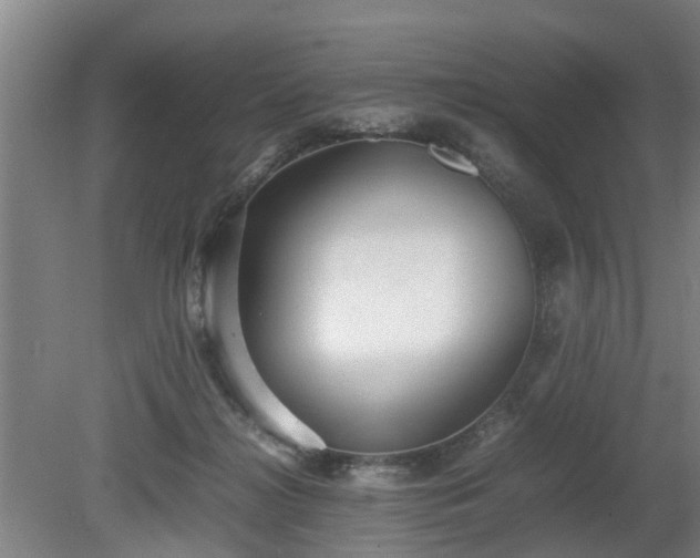 X0000080660268200612221058