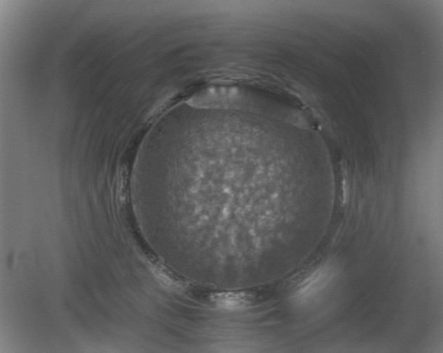 X0000080660273200612221059