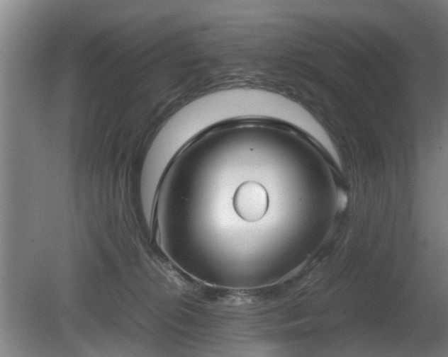 X0000080660276200612221059