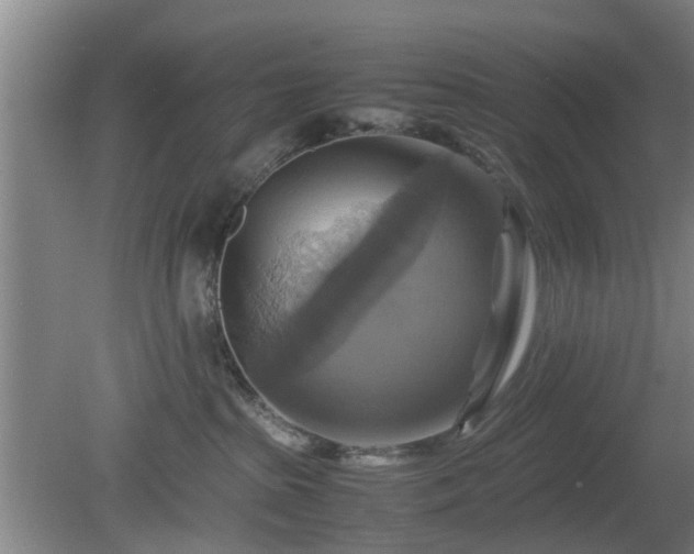 X0000080660285200612221059