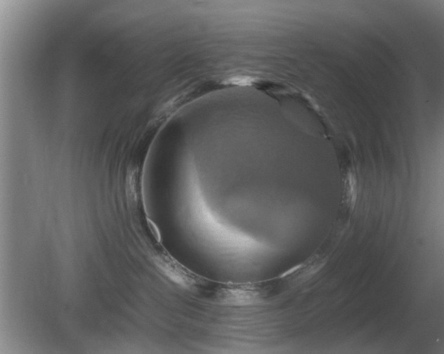 X0000080660286200612221059