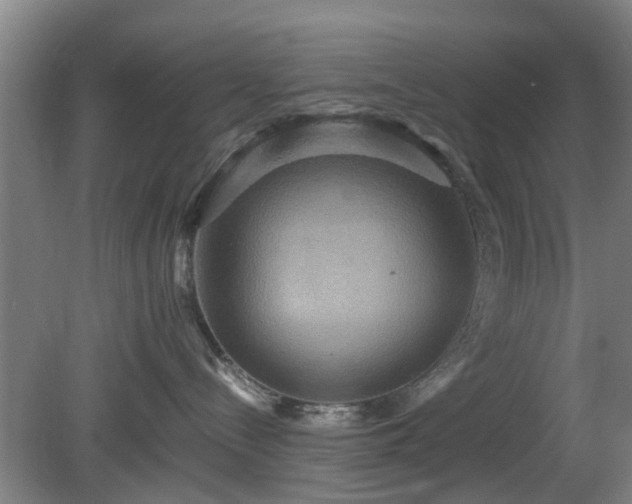 X0000080660288200612221059