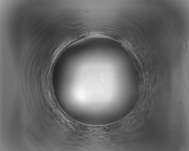 X0000080660289200612221058