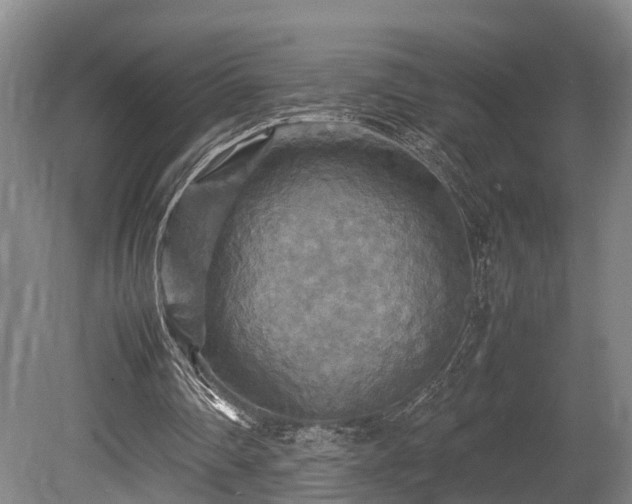 X0000080660290200612221058
