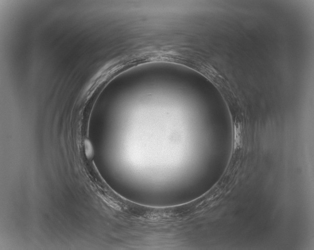 X0000080660291200612221058