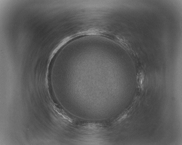 X0000080660292200612221058