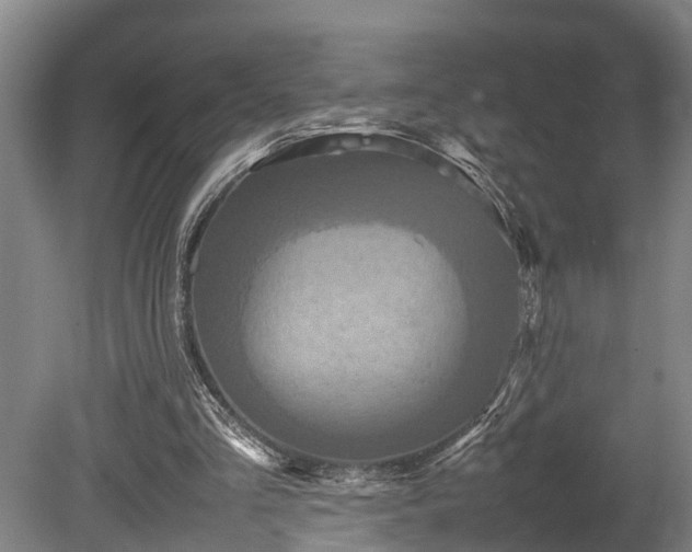 X0000080660293200612221058