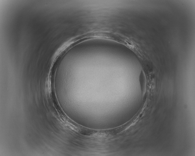 X0000080660294200612221058