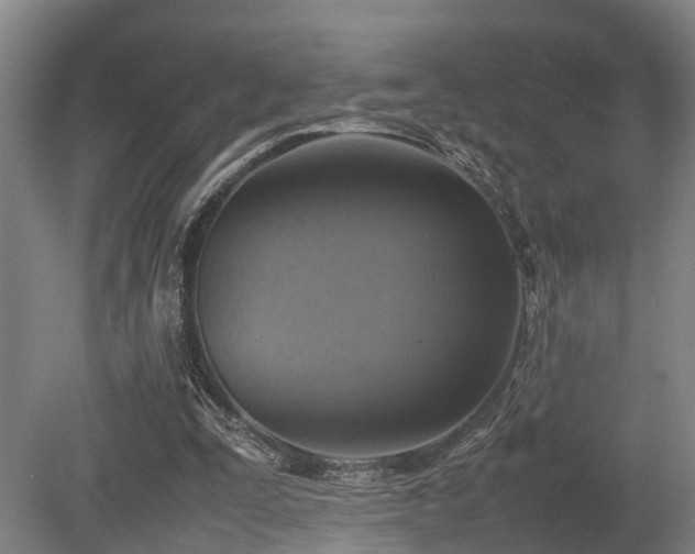 X0000080660295200612221058