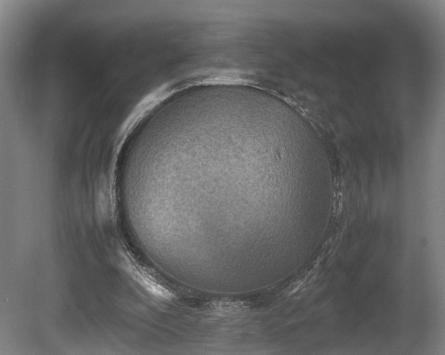 X0000080660296200612221058