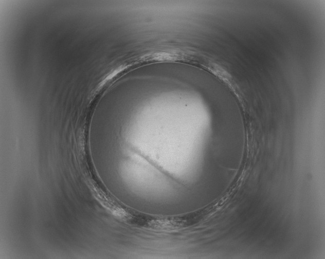 X0000080660297200612221058