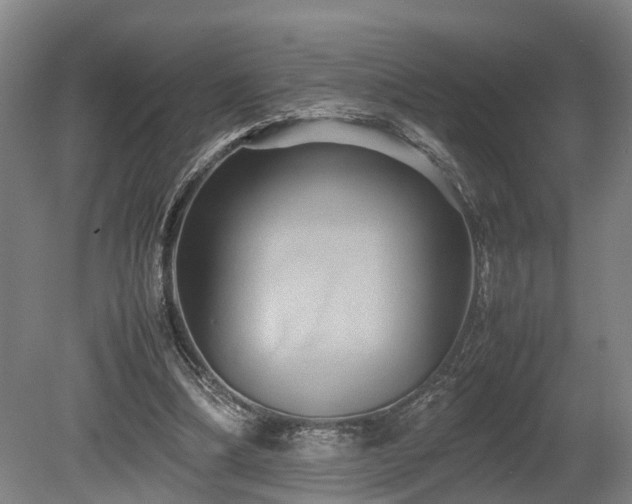 X0000080660298200612221058