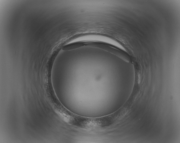 X0000080660303200612221058