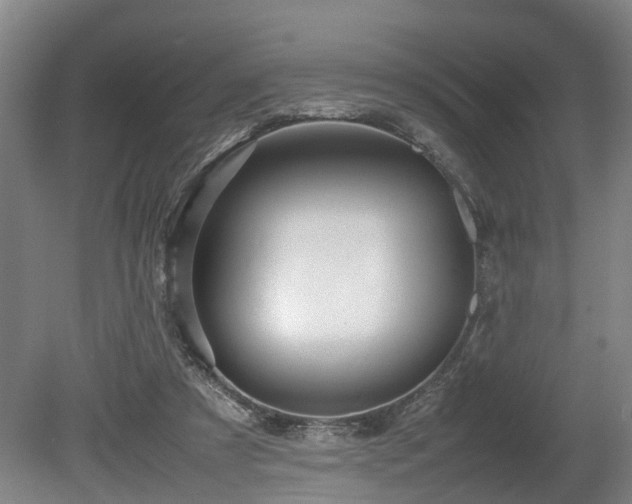X0000080660305200612221058