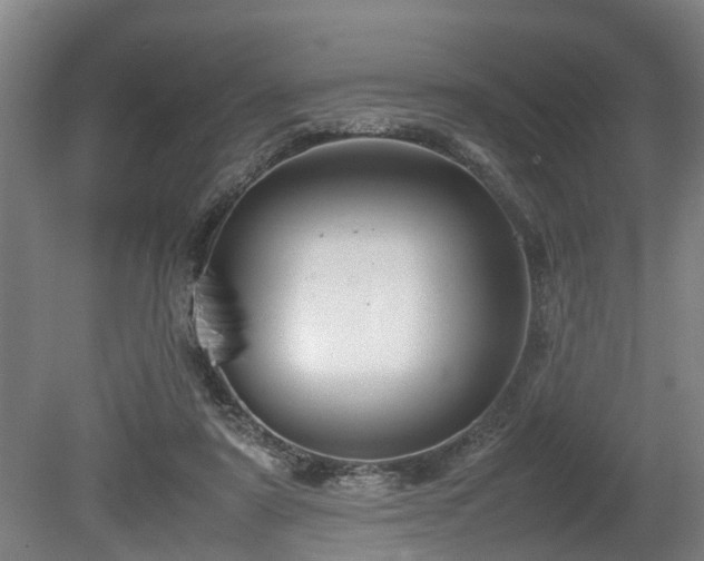 X0000080660307200612221058