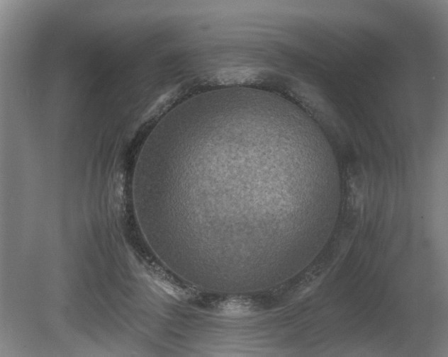 X0000080660308200612221058