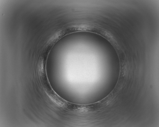 X0000080660310200612221058