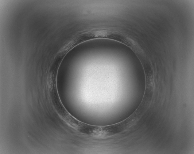 X0000080660311200612221058
