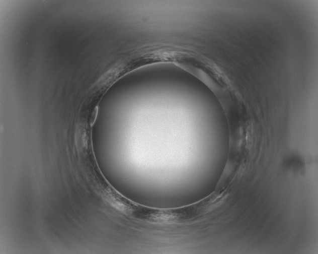 X0000080660313200612221058
