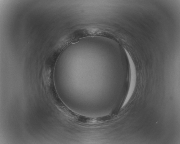 X0000080660319200612221057