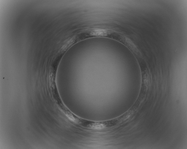 X0000080660322200612221057