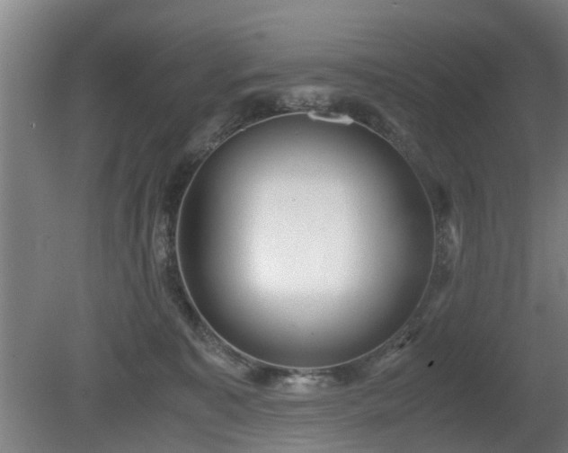 X0000080660323200612221057
