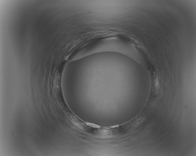 X0000080660325200612221057