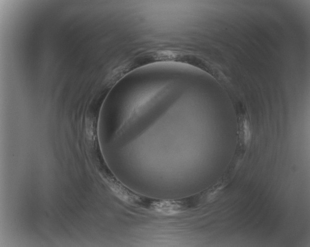 X0000080660331200612221057