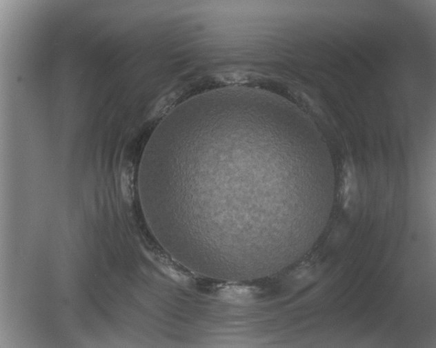 X0000080660332200612221057