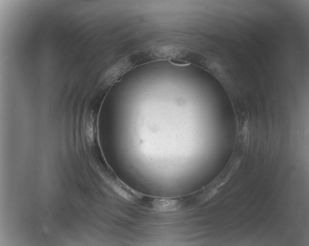 X0000080660334200612221057