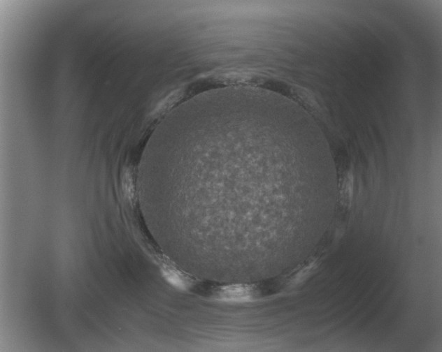 X0000080660335200612221057