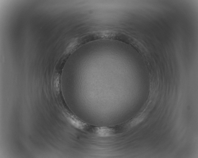 X0000080660336200612221057