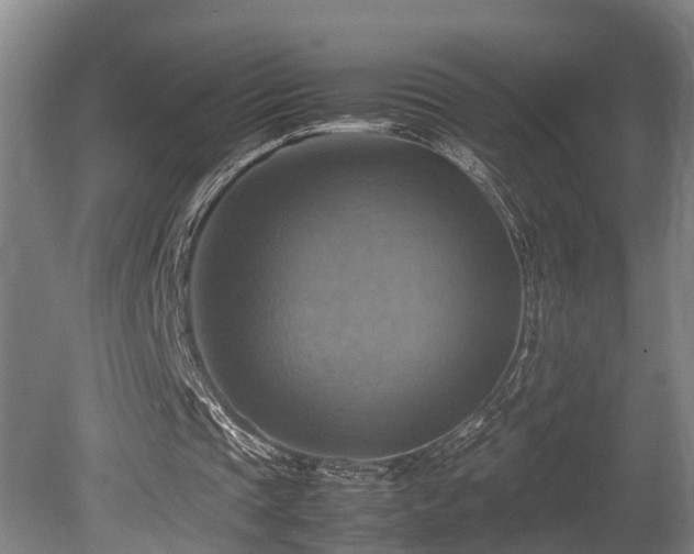 X0000080660337200612221056