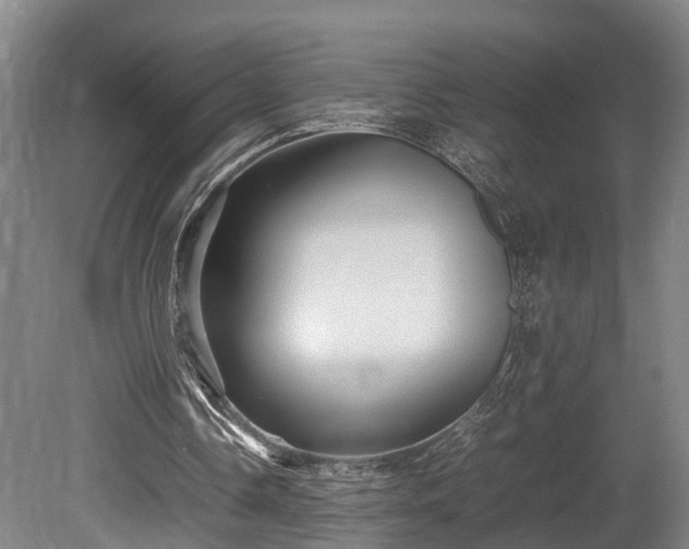 X0000080660338200612221056