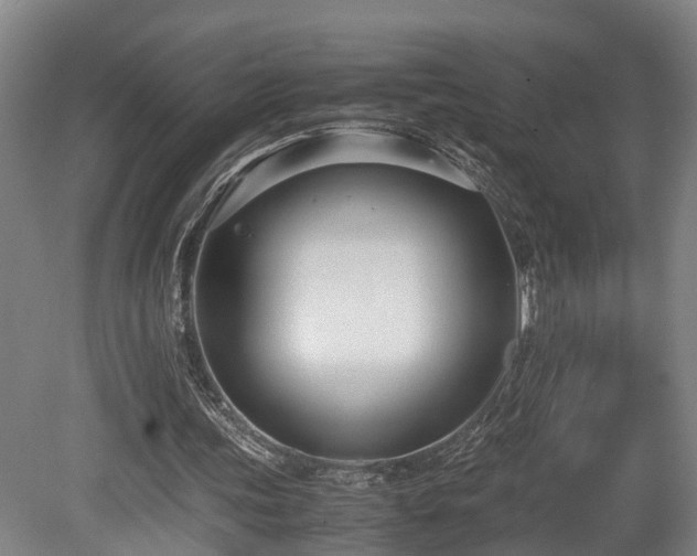 X0000080660339200612221056