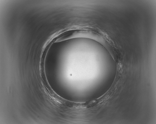 X0000080660340200612221056