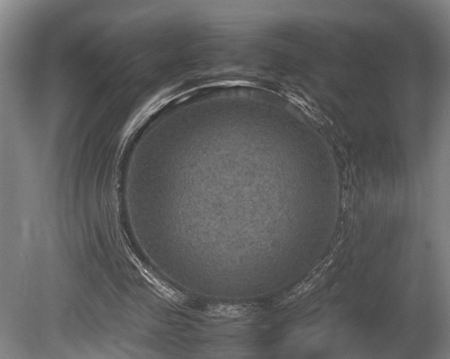 X0000080660341200612221056