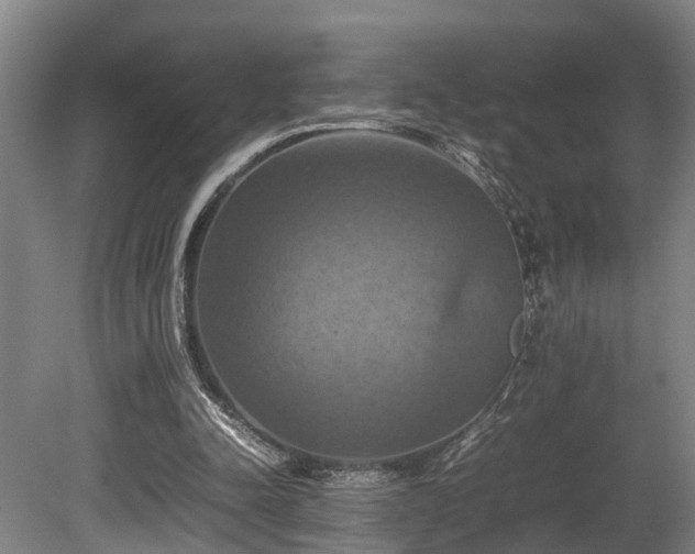 X0000080660342200612221056