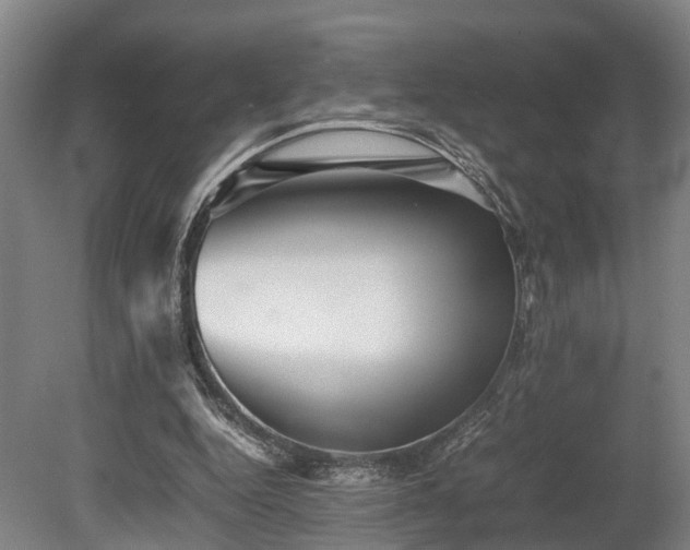 X0000080660344200612221056