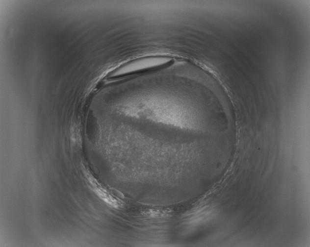 X0000080660345200612221056