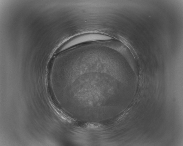 X0000080660346200612221056