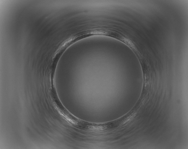 X0000080660349200612221057