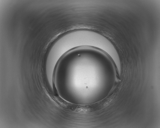 X0000080660352200612221057